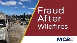 Fraud After Wildfires
